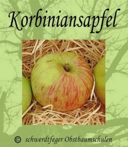 2013_07_17_Korbiniansapfel