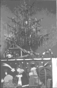2013_12_24_Weihnachtsbaum