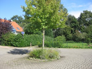 Sendenhorst 3