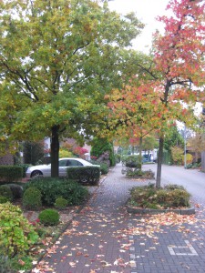 Dinslaken Karl-Leisner-Straße 2