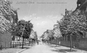 Flandrische Straße mit Rot- und Weißdornbäumen im Wechsel