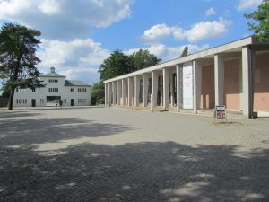 IMG_9424